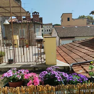 Lilia , Lucca Italia